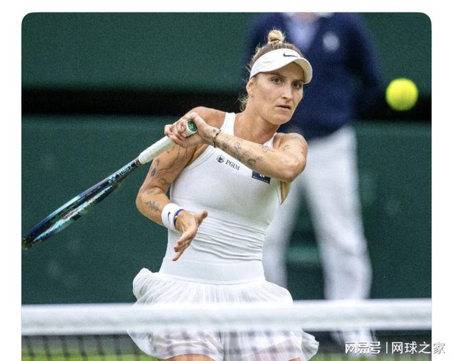 有相似之处 有相似之处