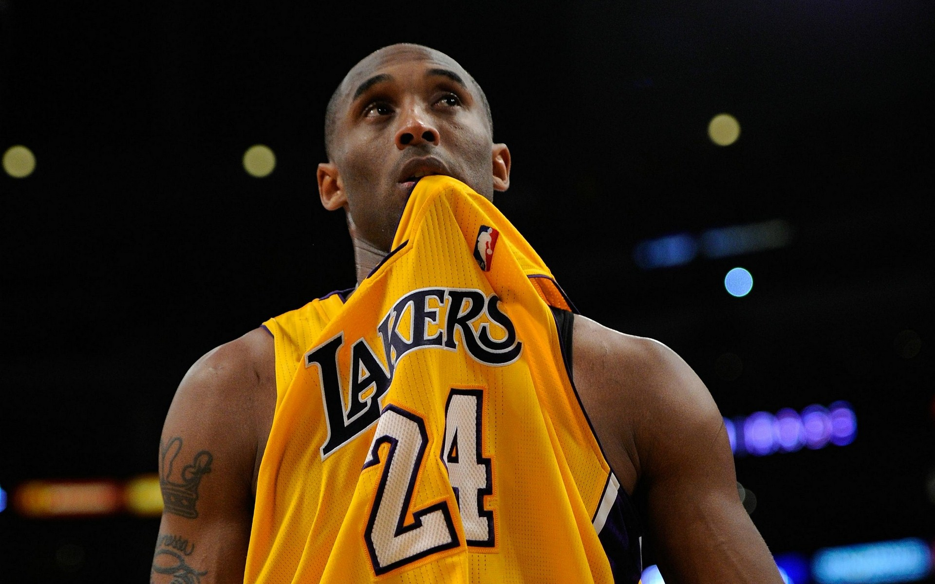 上的成熟度 上的成熟度