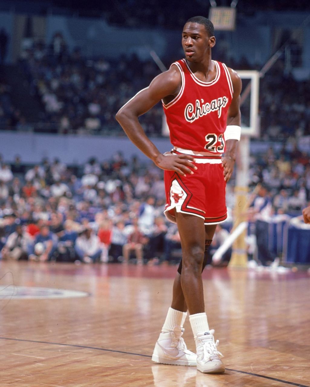 生涯的黄金 生涯的黄金