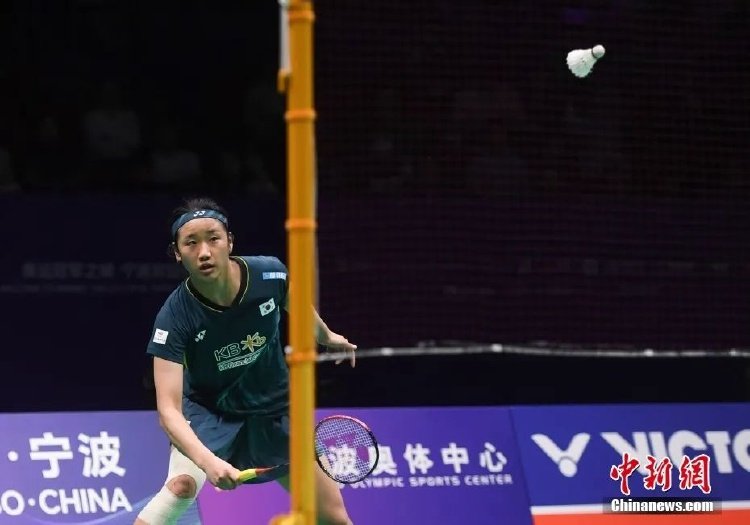 种无可比拟 种无可比拟