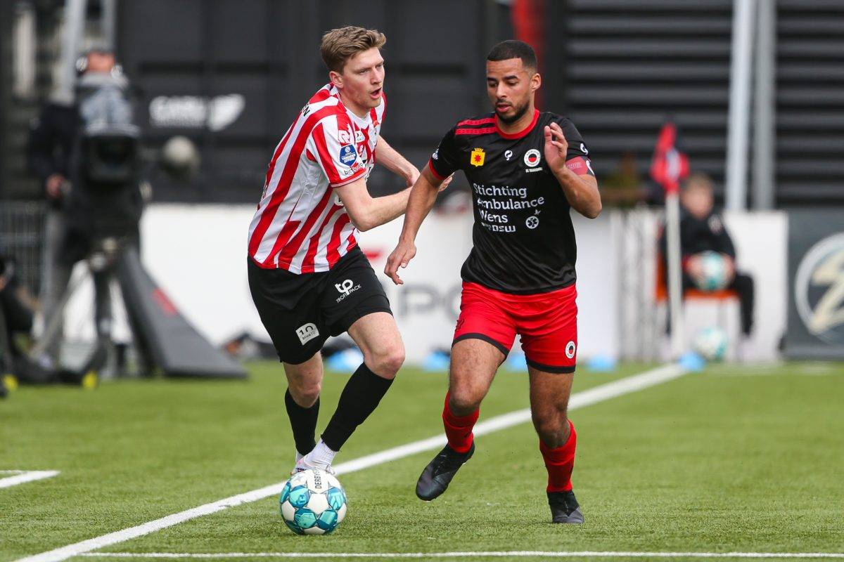 引进塔利斯 引进塔利斯